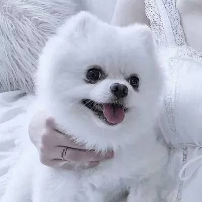 甜瓜游乐场模组集工具(all mod for melon playground)下载